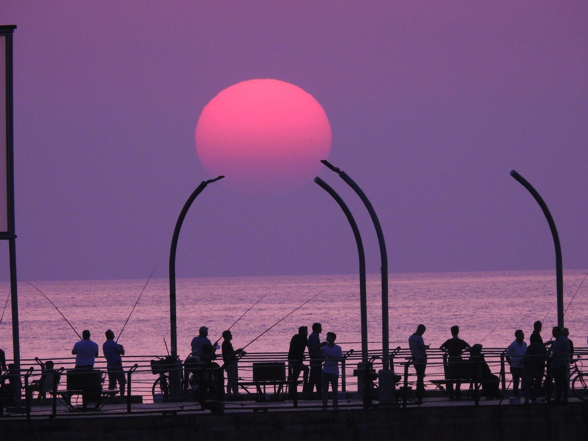 Dmr Vip Travel - Transfer Hizmetleri Gallery