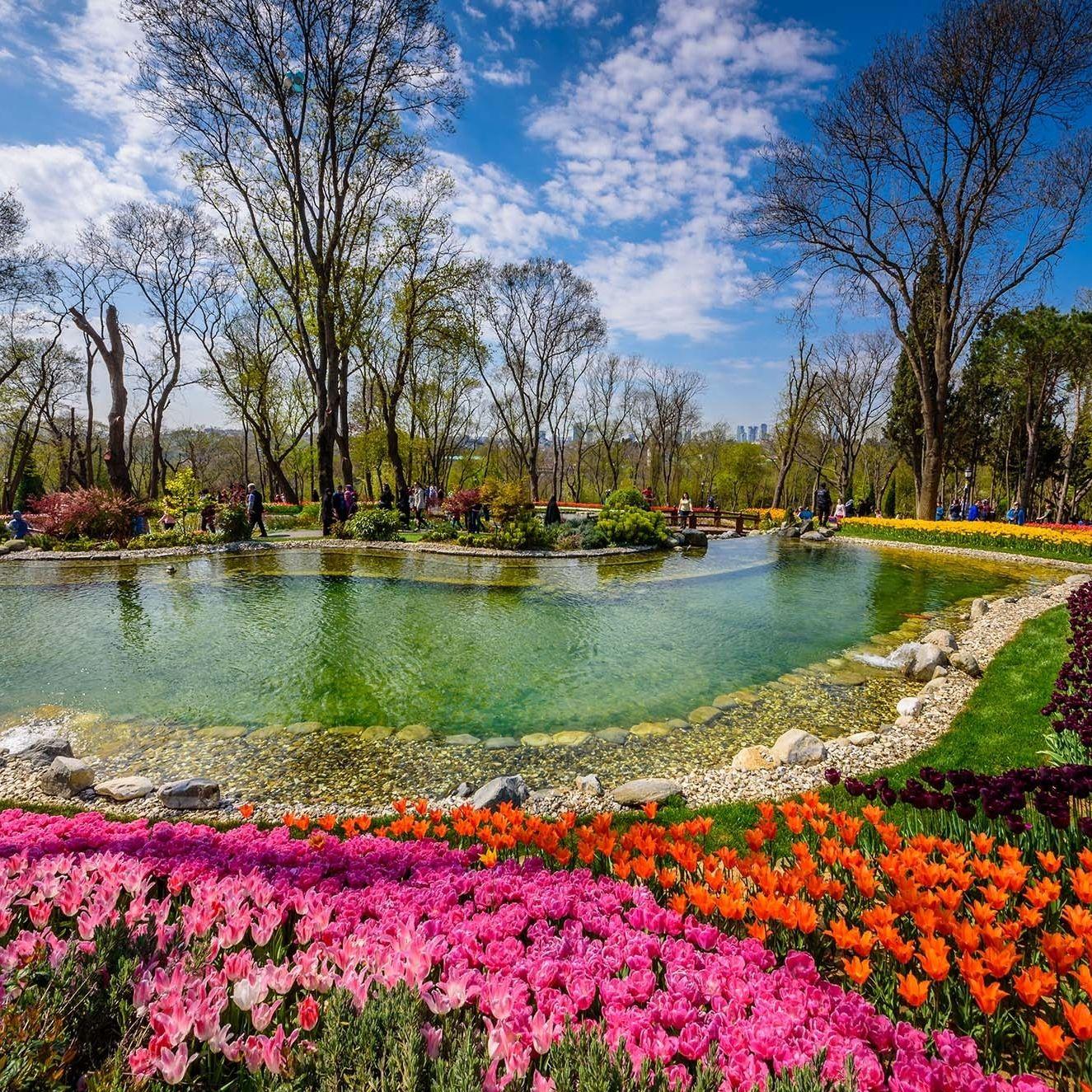 Dmr Vip Travel - Transfer Hizmetleri Gallery